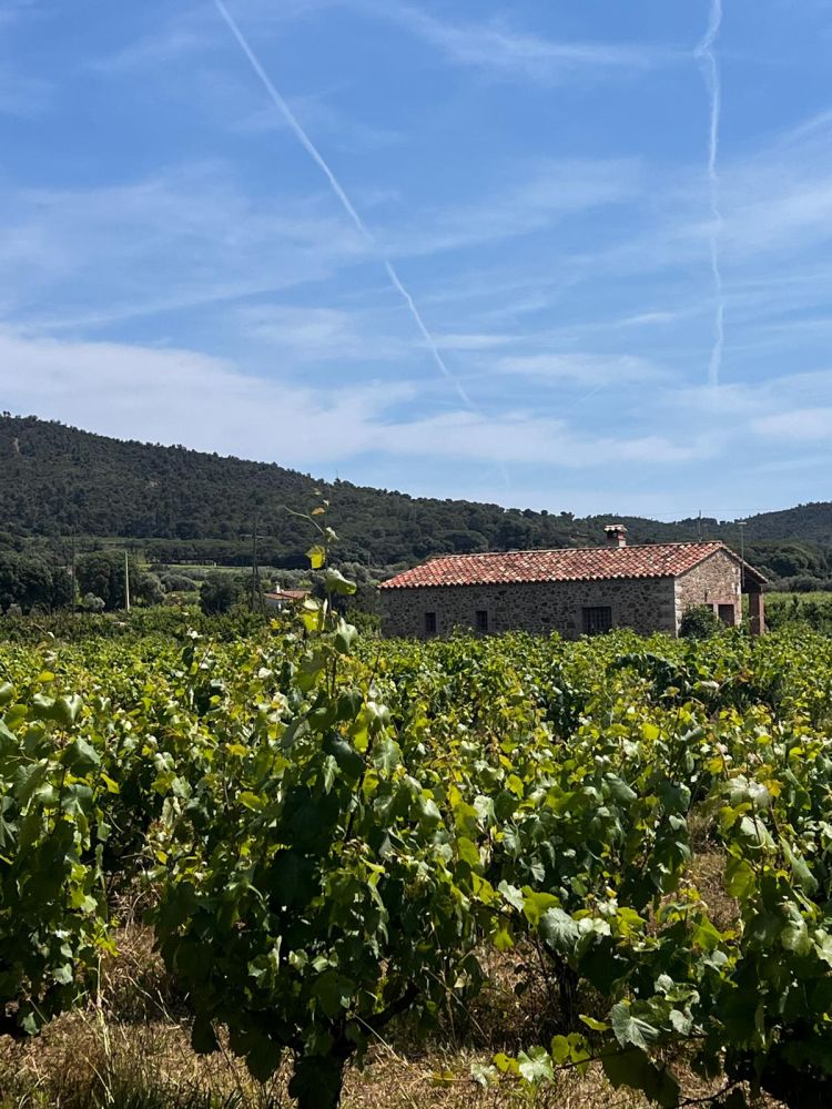 Warsztaty z pilotażu i przewodnictwa dla studentów kierunku turystyka i rekreacja